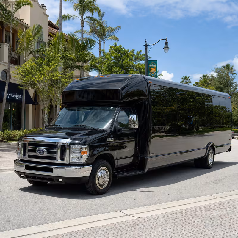 20 Passenger Party Bus
