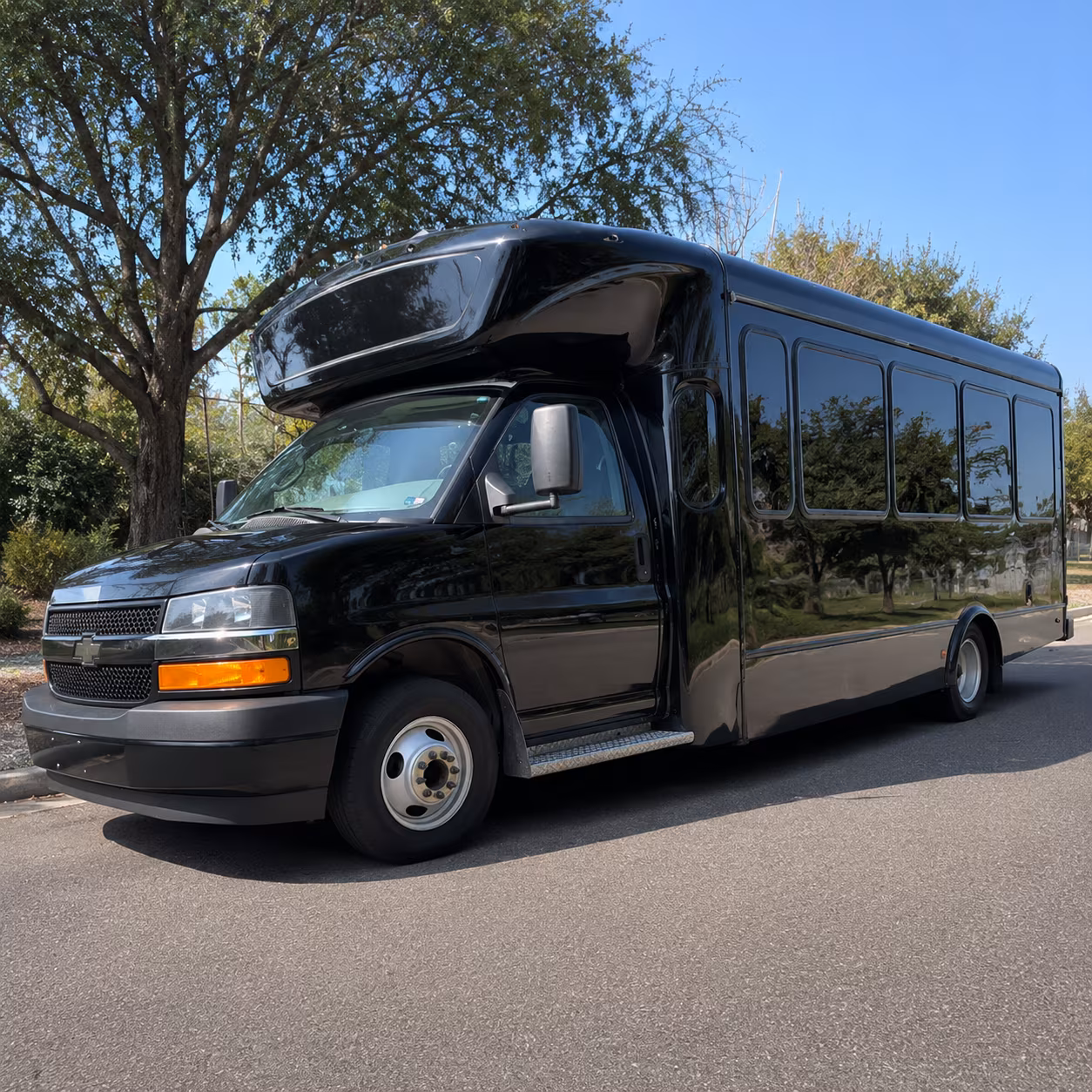 Wellington Birthday, Sweet 16, & Quinceañera Transportation party bus interior