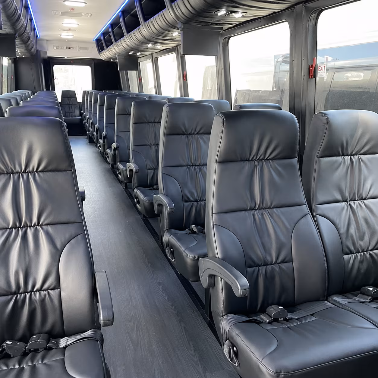 Wellington School Event Transportation party bus exterior